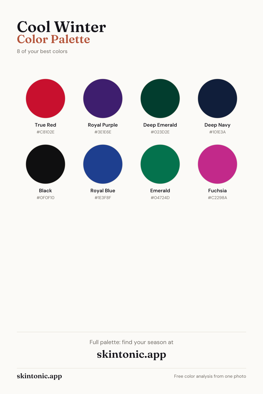 Cool Winter color palette preview: 8 of the best colors with names and hex codes.